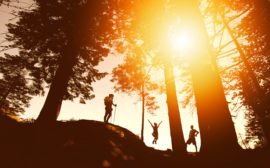 Tre personer som står i en skog