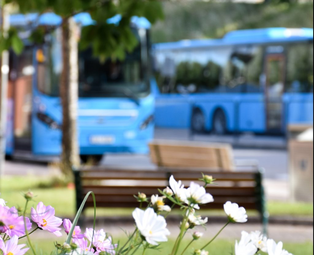 Blommor vid busstationen i Ulricehamn