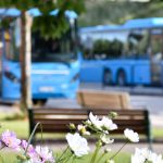 Blommor vid busstationen i Ulricehamn